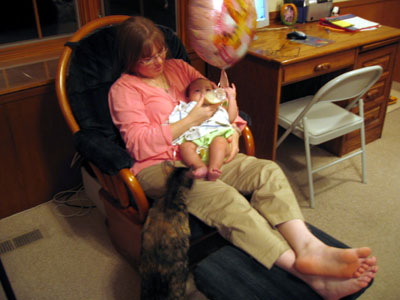 Once we got home, Maui investigates this new addition